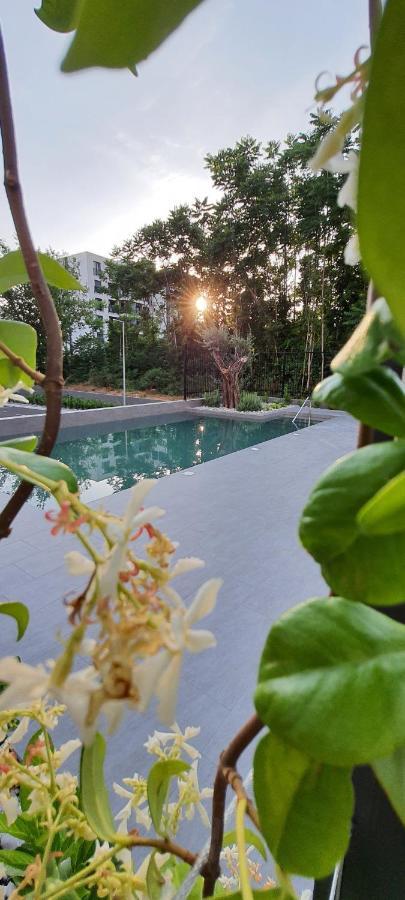 Luxury Apartment Stefanija Tivat Dış mekan fotoğraf
